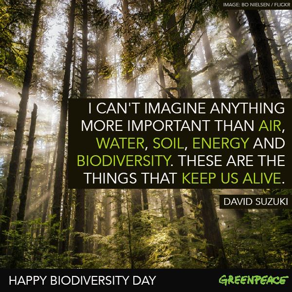 Happy Int'l #BiodiversityDay! Join the movement to protect our diverse forests: bit.ly/1HzxyNn