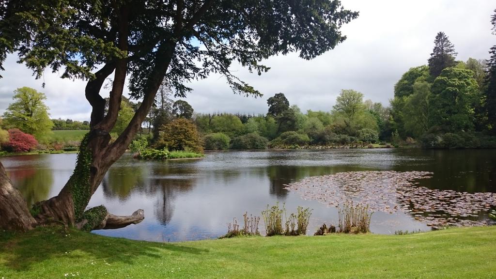 LucentVisuals's tweet photo. Beautiful scenery on our way from Trillick to Cavan #LucentLive http://t.co/wPdk711lG1