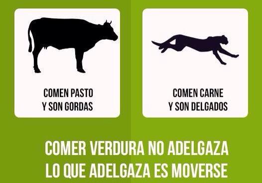 Comer menos adelgaza