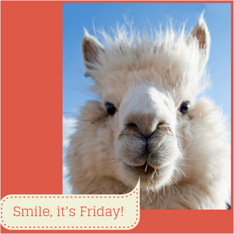 thedocsinn's tweet photo. What else are you supposed to do on a Friday morning? http://t.co/zy8DiP4zhN