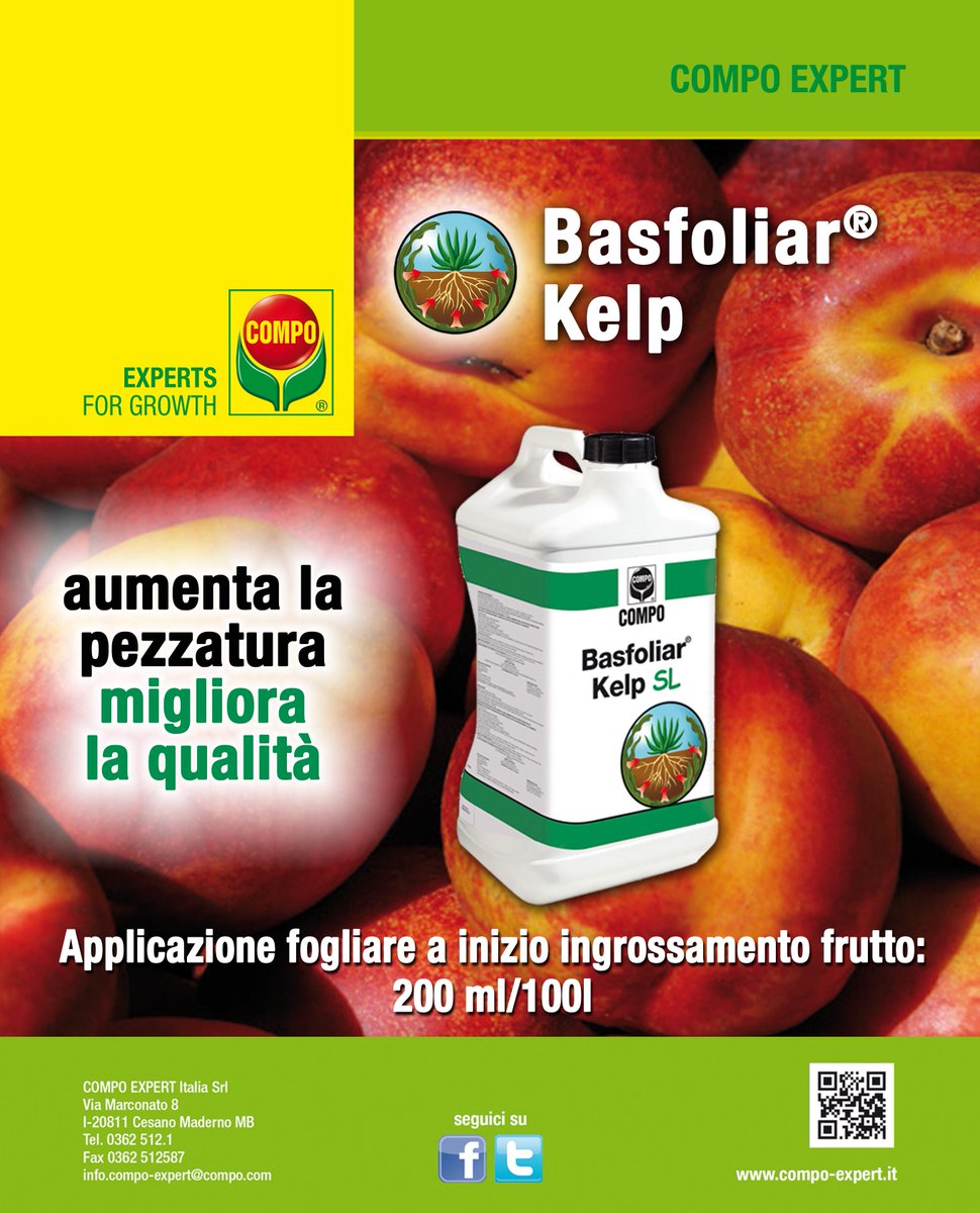 CompoExpert's tweet photo. Prova Basfoliar Kelp per aumentare la pezzatura delle #drupacee! http://t.co/OycVpPk4fD http://t.co/emFQNayVBi
