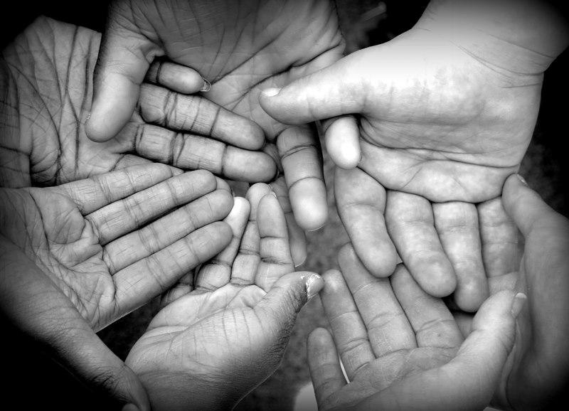 SabaFSalman's tweet photo. Hands, horses and hounds: VIP pix on my blog #disability #photography http://t.co/cubHw94wxP http://t.co/ULgOxlysYf