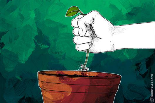 Breaking: BitFinex’ Hot Wallet Hacked, Bitcoins Stolen dlvr.it/9wZzZ8 #Bitfinex #hotwallet
