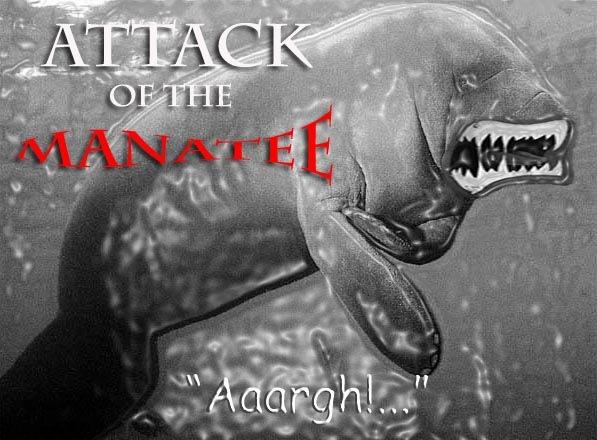 @lriggz think again 0.0