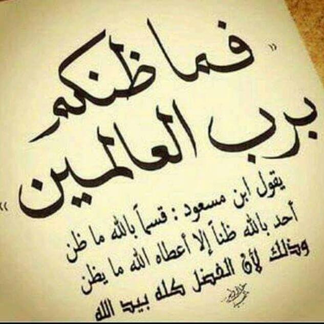 msisoun tweet picture