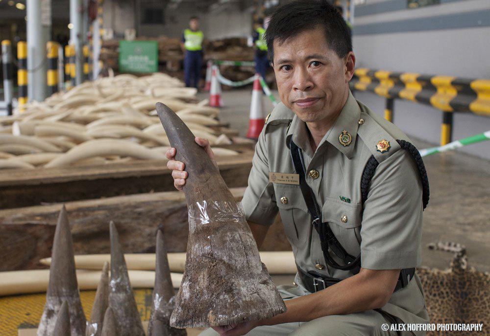 richardbranson's tweet image. To end poaching, we need a global strategy to stop the killing, trafficking &amp;amp; demand virg.in/wbio