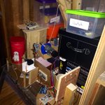 Photo by Trinity Fox (@TheTrinityFox)
