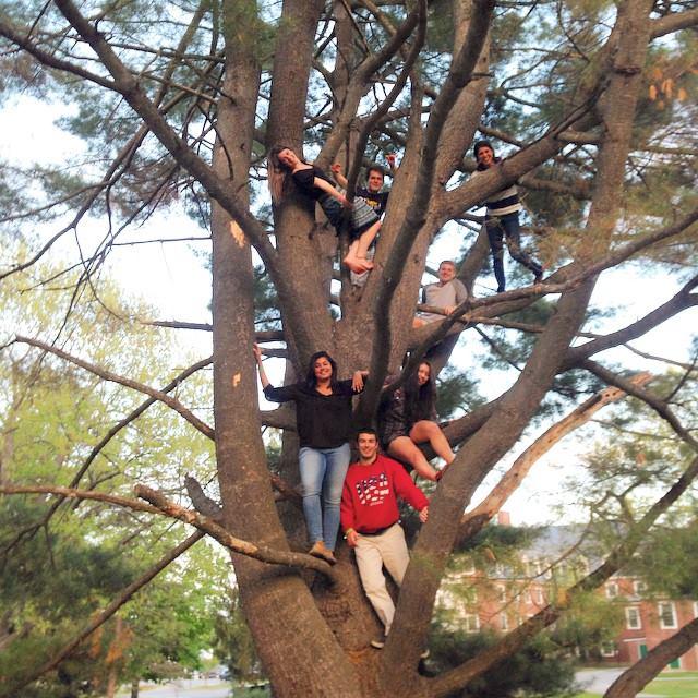 Commencement Weekend begins for our seniors! Ruggers like these don't just grow on trees! <a href="/ColbyRugby/">Colby Men's Rugby</a> <a href="/ColbyCollege/">Colby College</a>
