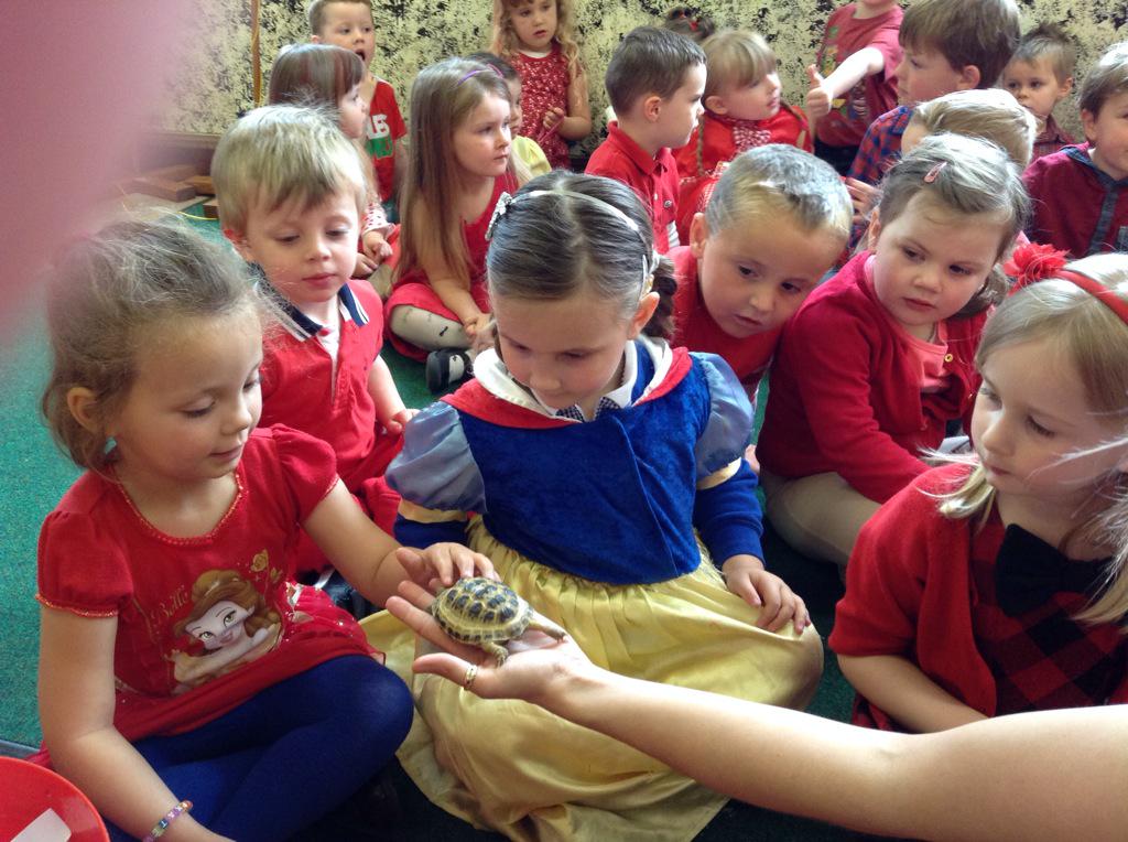 NurseryBPS's tweet photo. We were lucky to meet rocket the baby tortoise today! http://t.co/dKc5uvMpzV