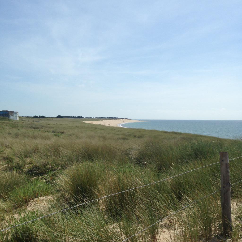 LeSlipFrancais's tweet photo. Shooting vendéen jour 2 pour @LeSlipFrancais à @Ile2Noirmoutier #grandbeau #madeinfrance #slipparty http://t.co/TtKevLhbzX