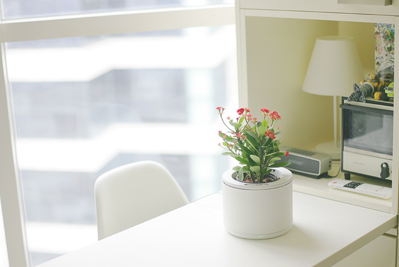 ThinkSimpleHQ's tweet photo. #Thinksimple with this automated plant pot, by #Nthing. http://t.co/KDaPwRuGug http://t.co/B1QhlqsPX8