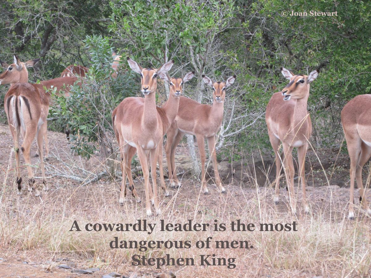 Mobile_ZA's tweet photo. ♥#FunFollowFriday ♥ @wittier @terrinakamura @Jason_Malan @JEaglefeather @hijiri_kouya @scottybee_ @opajdara http://t.co/tl79To4U6l