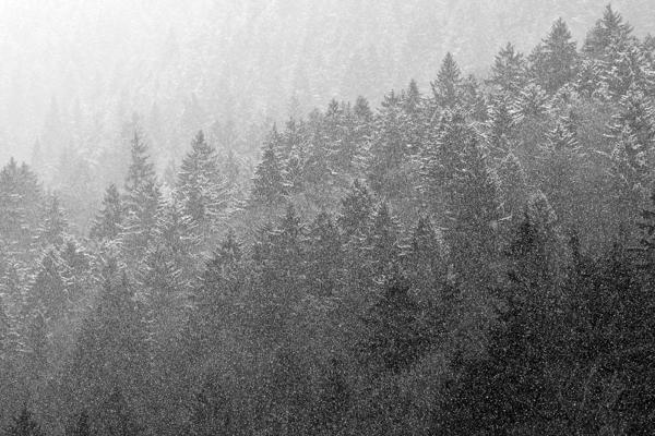 Did you see <a href="/koehler/">koehler</a>–b's lovely series? View it here: art.tt/p9r #DailyFeaturedGallery