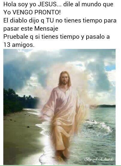 elizabeth sanchez tweet media