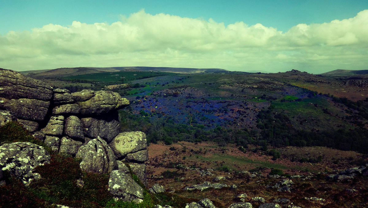 MoreDudley's tweet photo. #Dartmoor Blues
on #HolwellTor and Lawn yesterday.
@VisitDartmoor @dartmoornpa @dartmoormag http://t.co/egeyVVRYke
