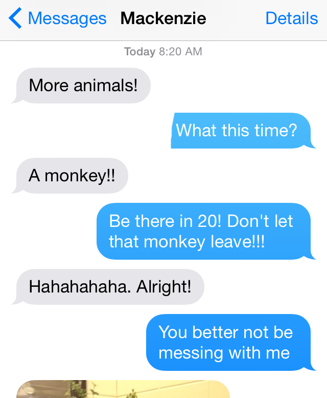 BridgetteWEWS's tweet photo. I missed the animals in the newsroom yesterday b/c I was sleeping. Told everyone when animals are at work, wake me up http://t.co/X9L4Hf2rlQ