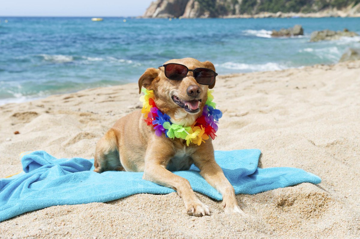 Bodycare2000's tweet photo. ☀🌸 Happy Bank Holiday to all our lovely customers! 🌸☀ http://t.co/orze5A3xki