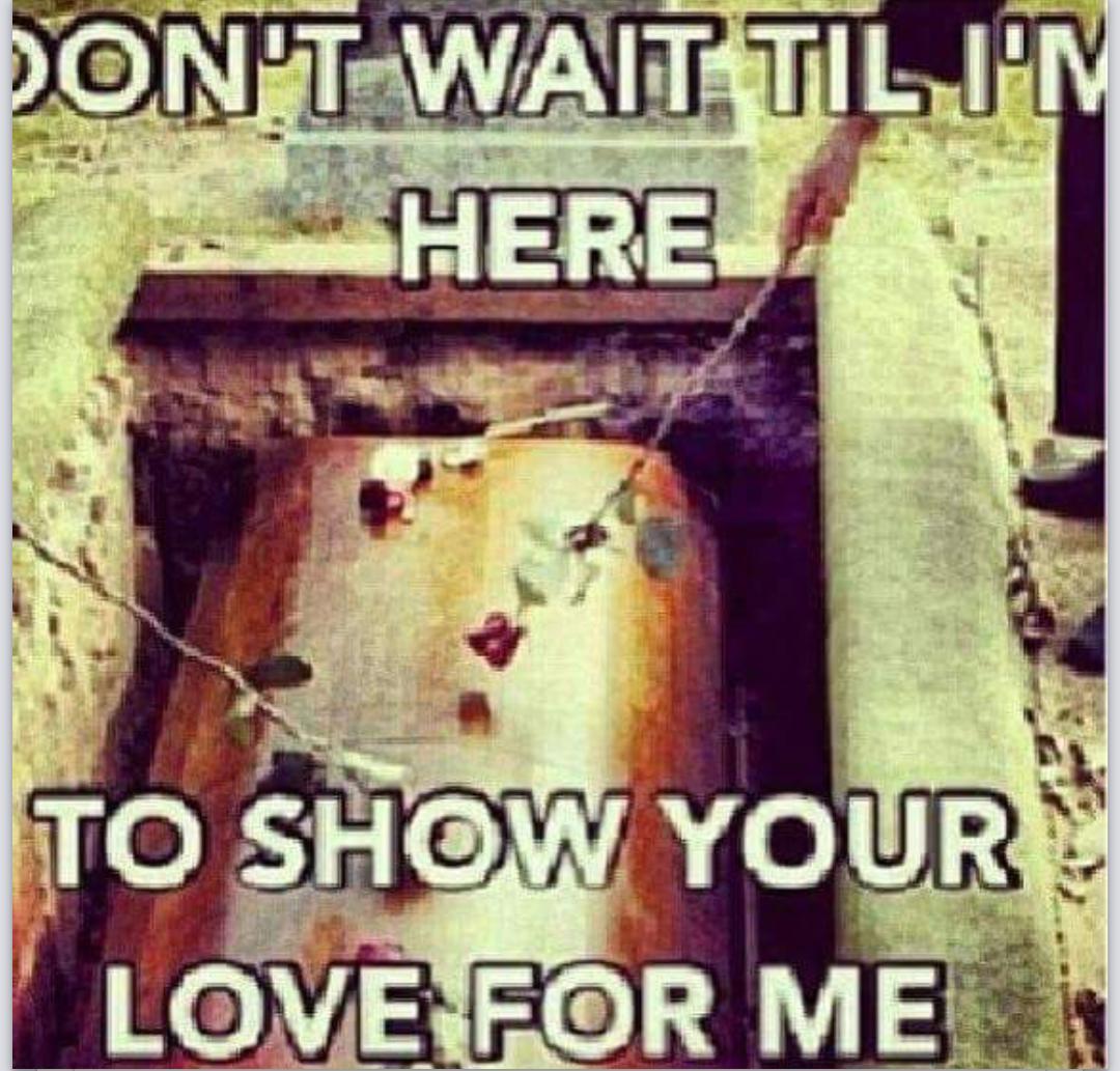 young_sergioLua's tweet image. 