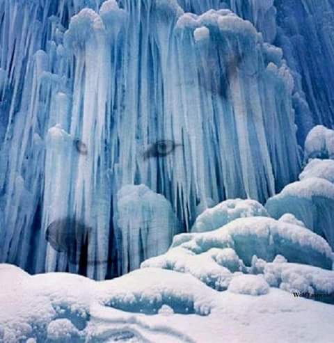 kikodiablillo's tweet photo. http://t.co/J83rgl07EN