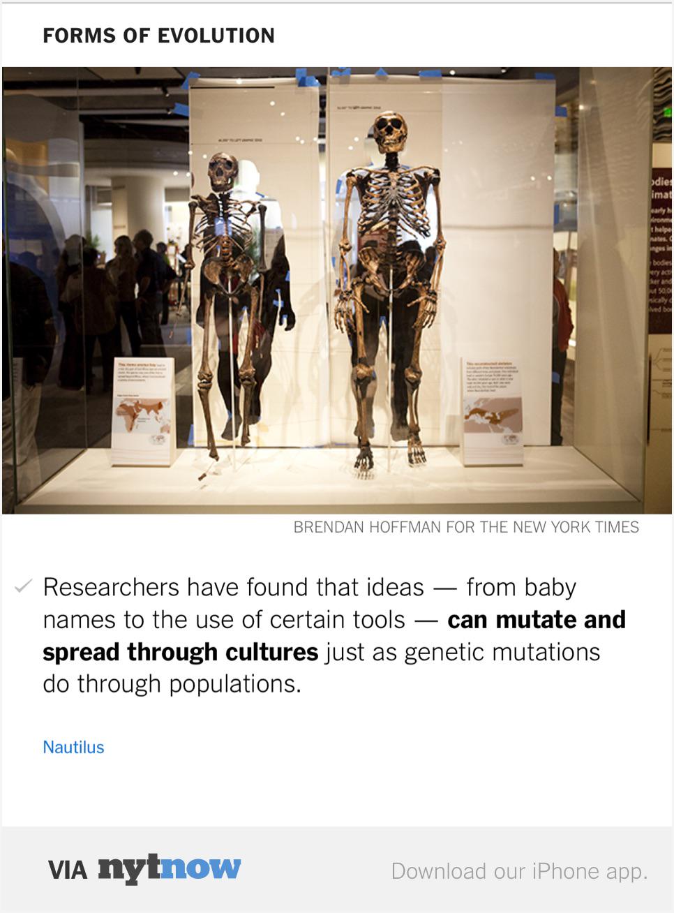 Culture Baby: May 2015
