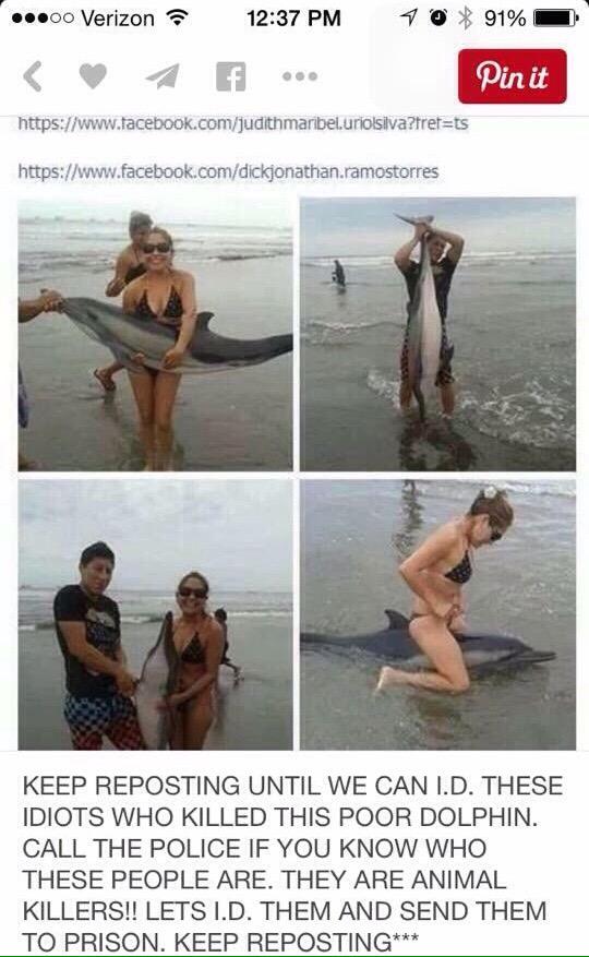 EnduroPancenOye's tweet photo. WHO DID THIS ??!! ReTweet until we identifiy them &amp; they go to prison @WWF #Animal #AnimalRights #torture http://t.co/CRalI1mXW6