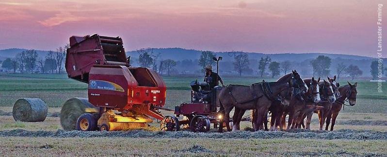 NHAgriculture's tweet image. .@LancFarming snapped a great pic of a farmer &amp;amp; team baling rye in Lancaster County, PA. facebook.com/LancasterFarmi…