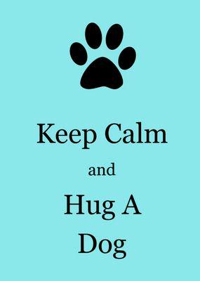Pawz4Petz's tweet image. Share a picture of your doggy hugs #dogs #doghugs #shareapic