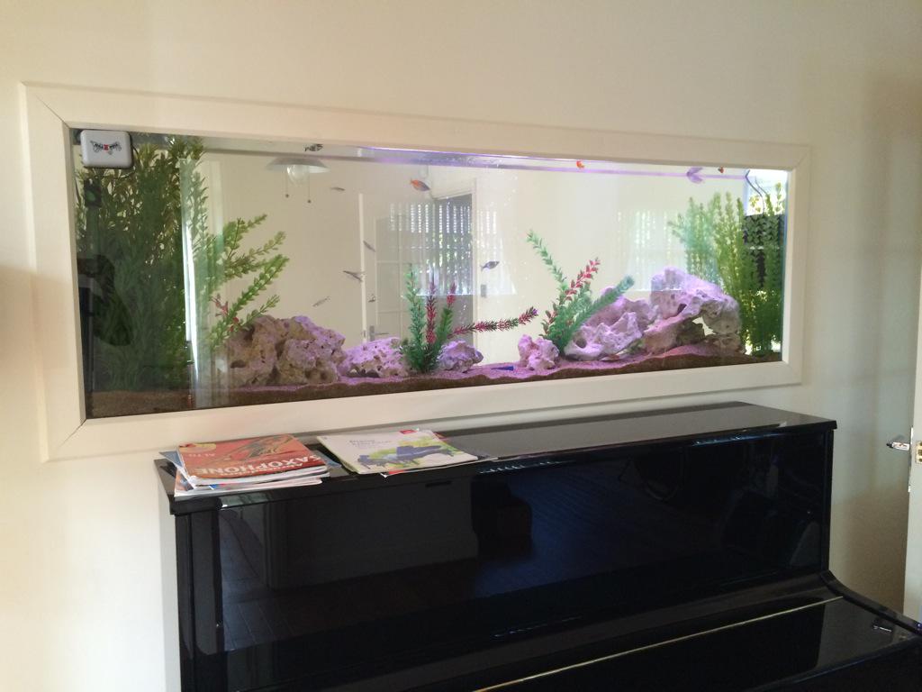 The_Fish_Doctor's tweet image. Another one of our instillations. Modern &amp;amp; classic that is a great focal point of any living space