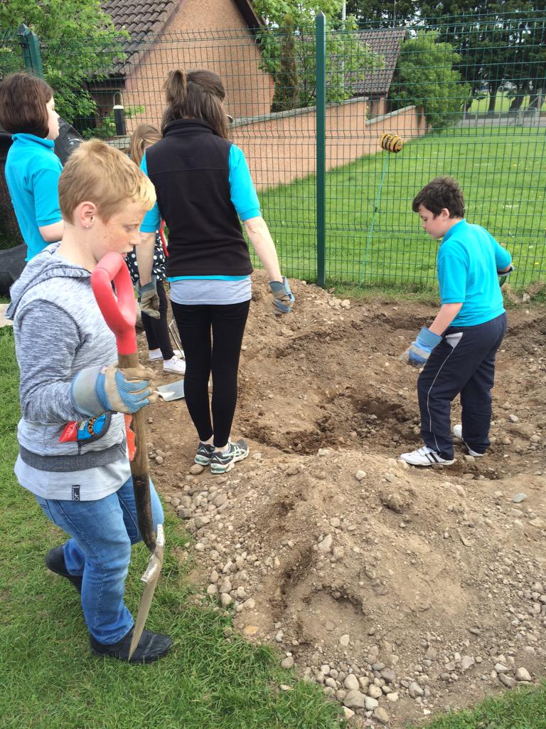 hiltoninverness's tweet photo. Mrs Simm's sweetpeas making good progress with their nature garden @EcoSchoolsScot #growinggroups http://t.co/5yplBQLuNI