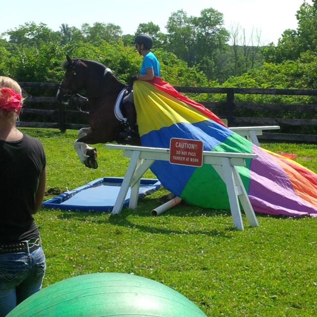 DolceHolistic's tweet photo. Have FUN learning these exercises at the intuitive riding clinic. http://t.co/7Wve1prt6l http://t.co/GX2IKthFEz