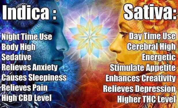 HigherStoner's tweet photo. Know the difference http://t.co/9mLKs35mcW