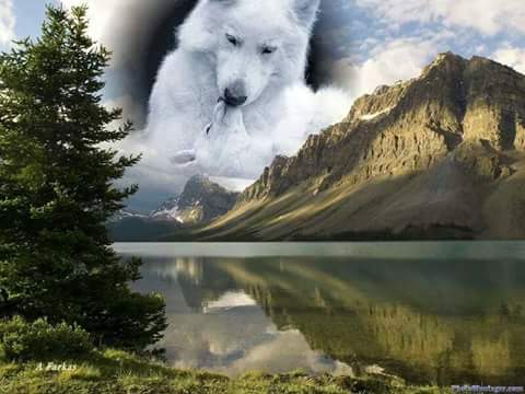 kikodiablillo's tweet photo. http://t.co/mkfmB6cyrz