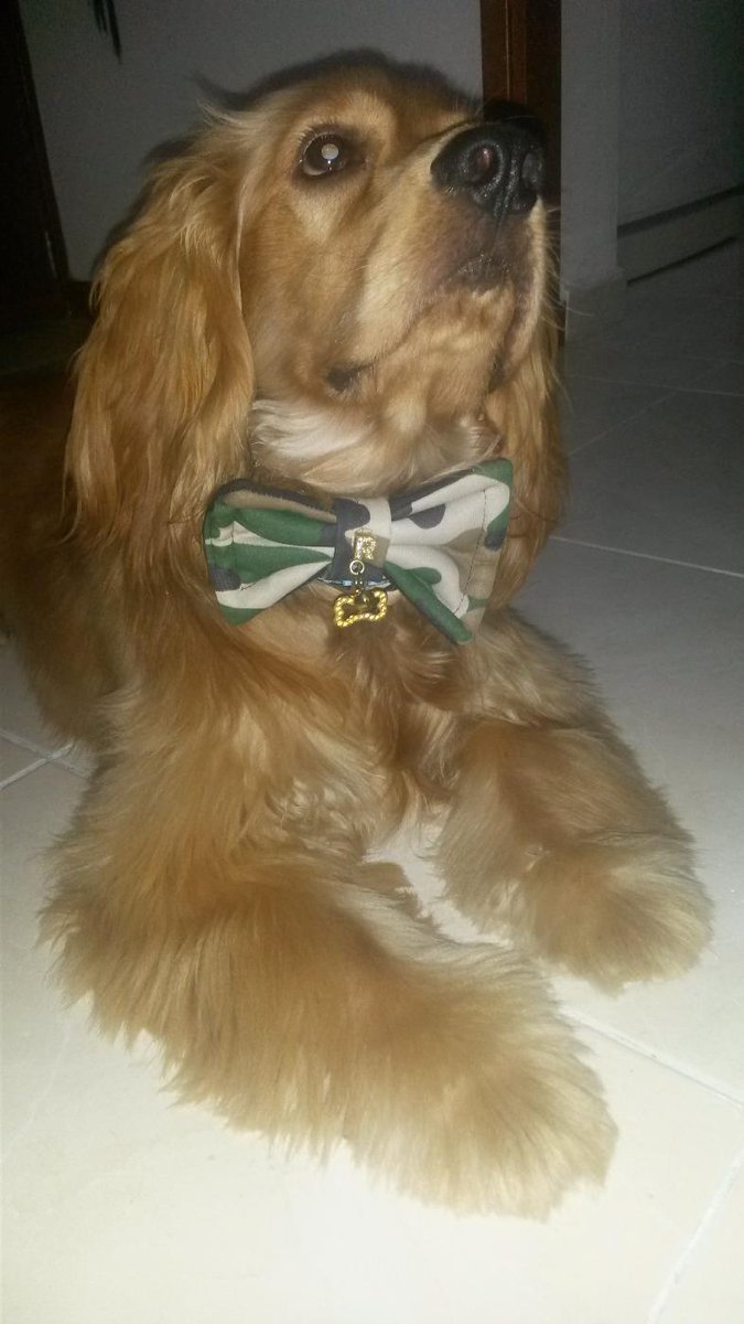 AlejaOchoa's tweet photo. #findesemana  mi bebe listo para callejear http://t.co/tVgDS7QAjF