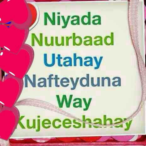 Xazan axmed tweet media