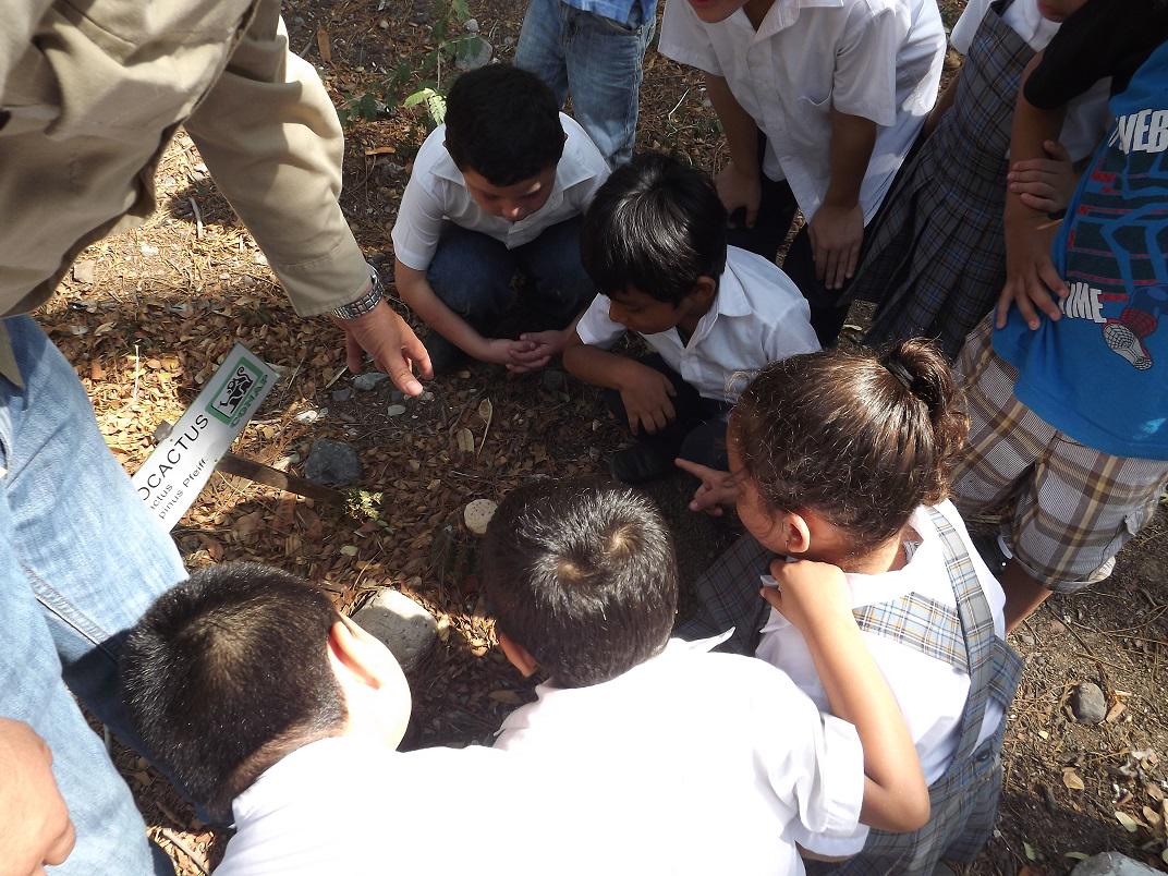 region_oriente's tweet photo. #DRIIIO,conmemora Dia de Diversidad Biologica, con recorrido por sendero interpretativo a niños de párvulos @CONAPgt http://t.co/hftdtUxByk