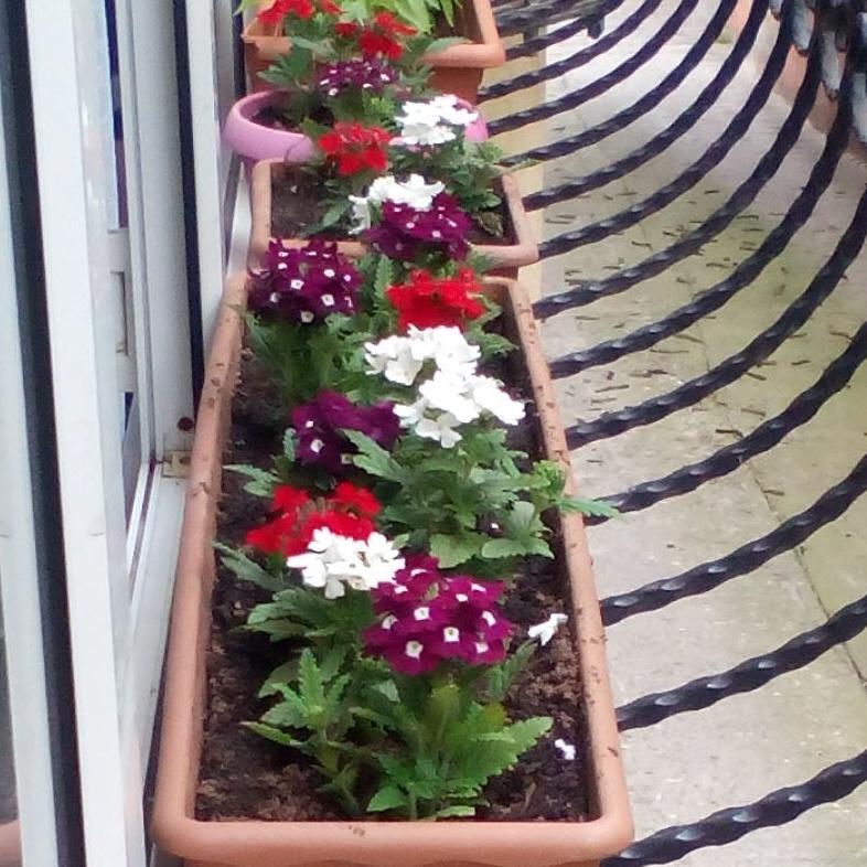 Fikret Akçeşme (@akcesmefikret) on Twitter photo 