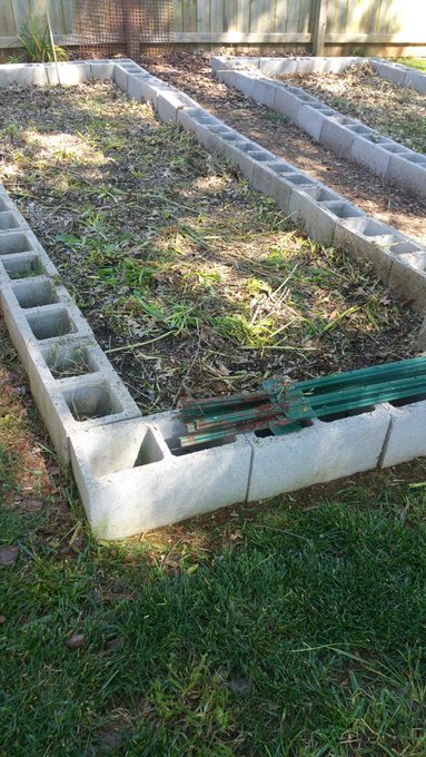 Thank God my Dad is here helping me clear out the garden since we just found a black widow. Spiders are<a href="/tag/poopgangsta"class="tags"><span>#poopgangsta</span></a>