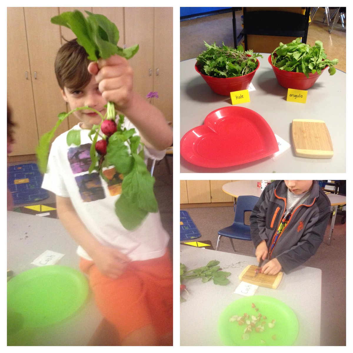 saraheverett49's tweet photo. Plant... Harvest... Eat! #ehgarden @EHNews http://t.co/5DvQuqAiY3