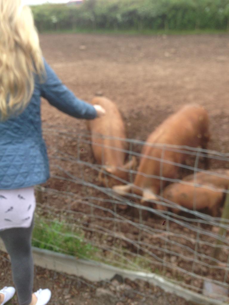 davegeyton's tweet photo. Had a nice day in Worcester and a local farm with @JordieB_11. Now getting ready for dinner. http://t.co/sh2briv40i