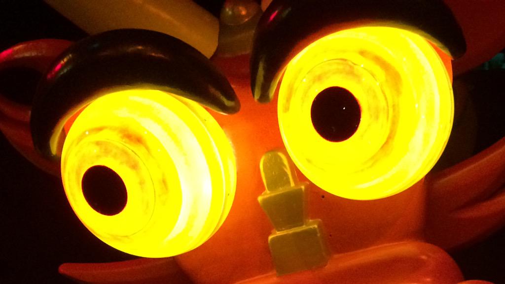 Jeroen IJntema tweet media