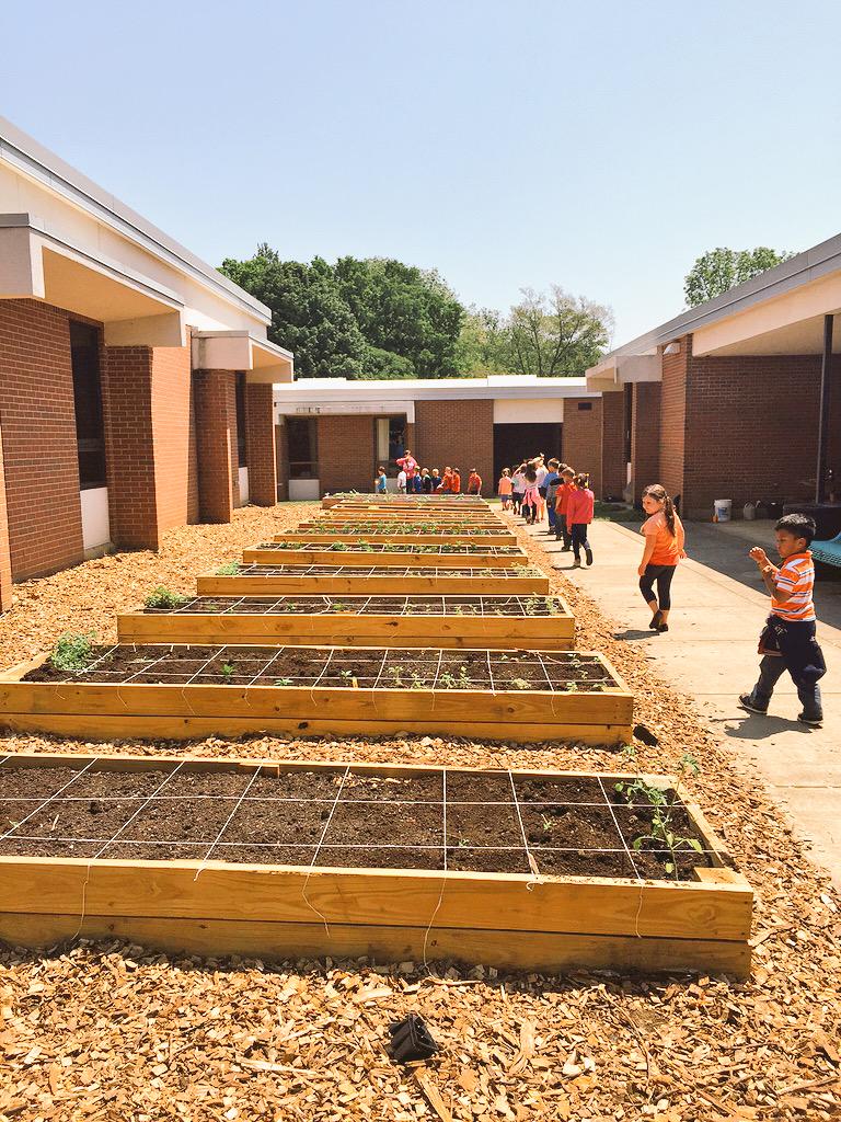 LVandeborne's tweet photo. We have collected so many worms 4 our gardens and look at how awesome r kids did planting! @WholeKidsFnd #werprexies http://t.co/uocU3eNK0s