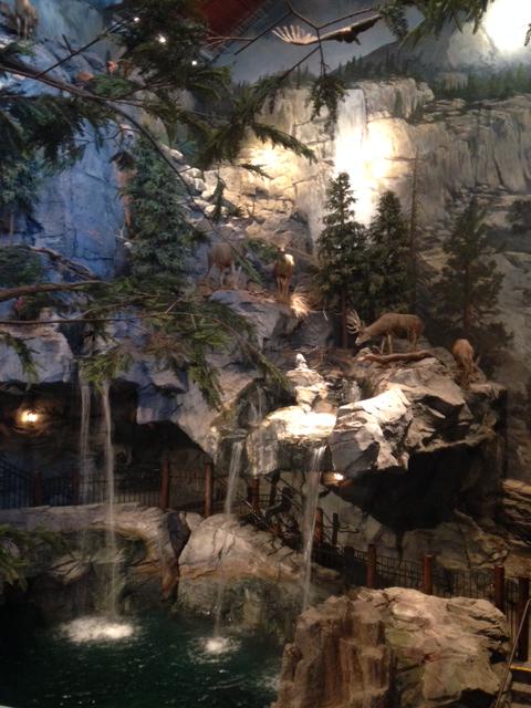 BassProManteca's tweet photo. #FunFact Did you know that the rockwork soaring 28' to 30'ft high above the aquarium replicates Yosemite's Half Dome? http://t.co/u3h1kCA2s9