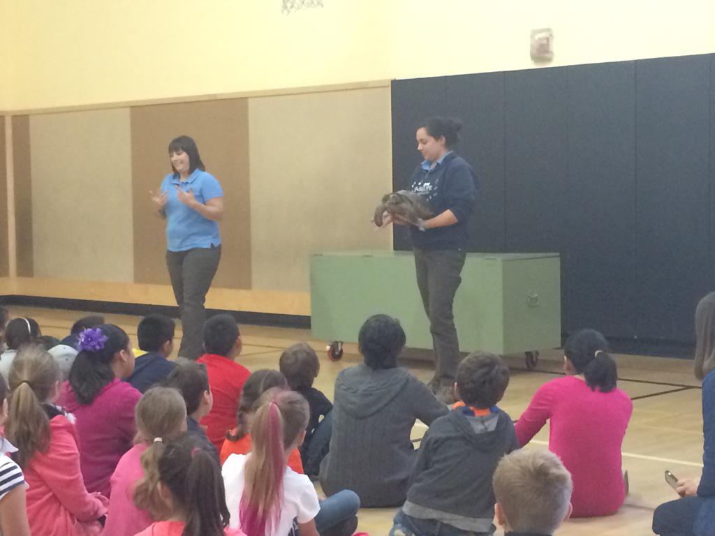 Room 1 at SHES tweet media