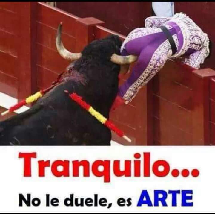 DavidMartPar's tweet photo. @jandcalderon985 viva la tauromaquia http://t.co/gn18ll0KsH