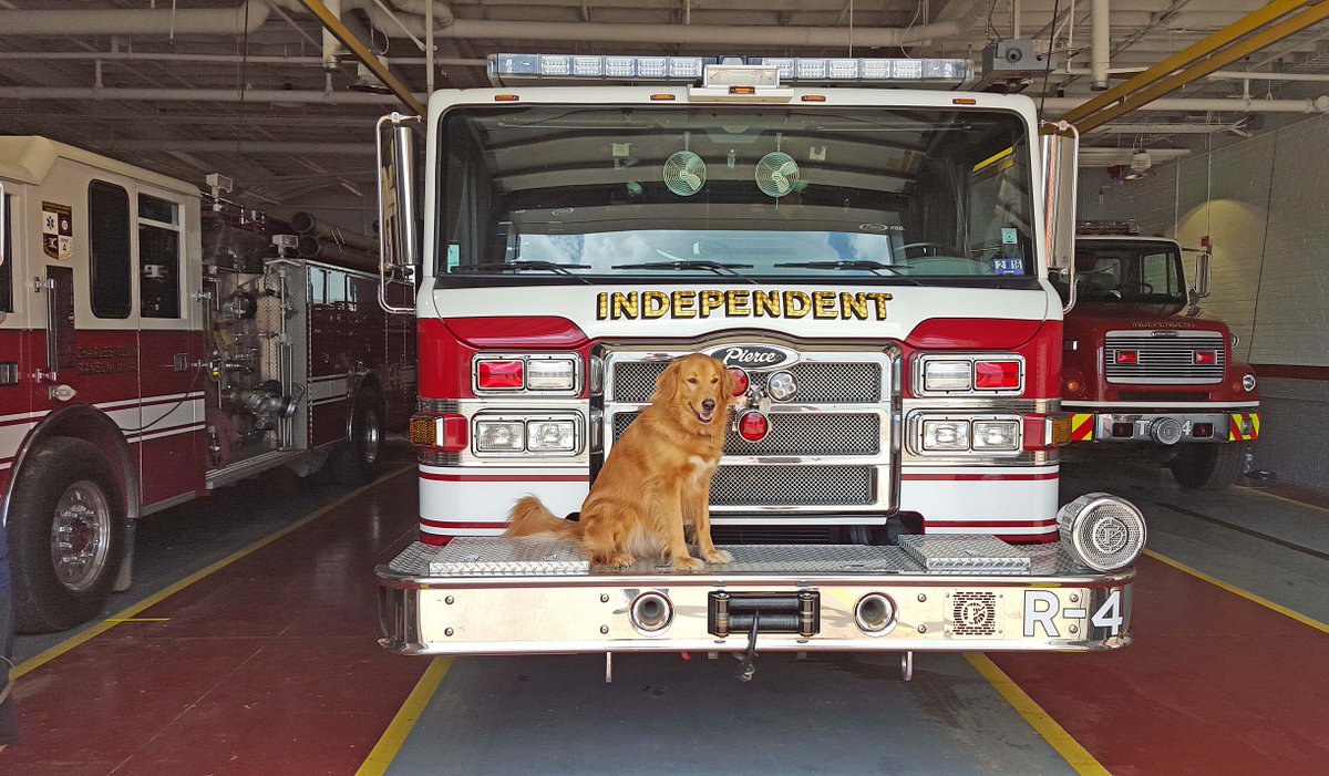 HomeFashions's tweet photo. Midas enjoyed spending time at Independent Fire Co WV. God Bless our #police &amp; #firefighters! http://t.co/3AFUMqZ4xT http://t.co/C67fSHR1eP