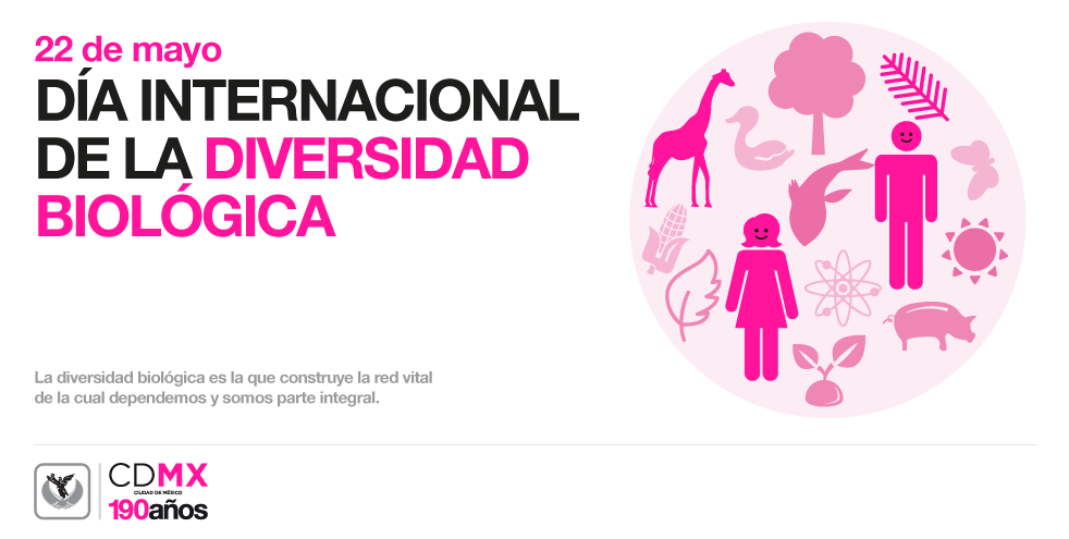ManceraMiguelMX's tweet photo. Hoy celebramos el #DíaInternacionalDeLaDiversidadBiológica, México cuenta con el 10% de la biodiversidad mundial #mm http://t.co/dqxO2bqRiI
