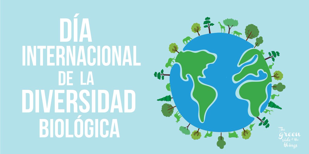 Green Side  tweet media