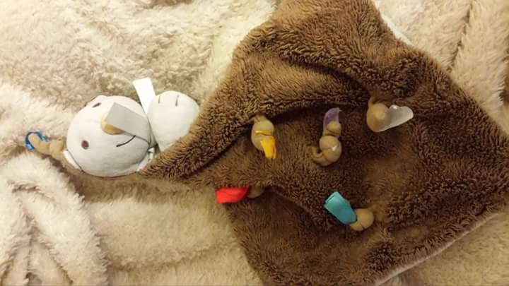 WrBoeimeer's tweet photo. Het knuffeltje van kleine Sam is kwijt! Als iemand m vind, laat ons weten, kwijtgeraakt in de binnenstad van Breda. http://t.co/MftnBz6nM6