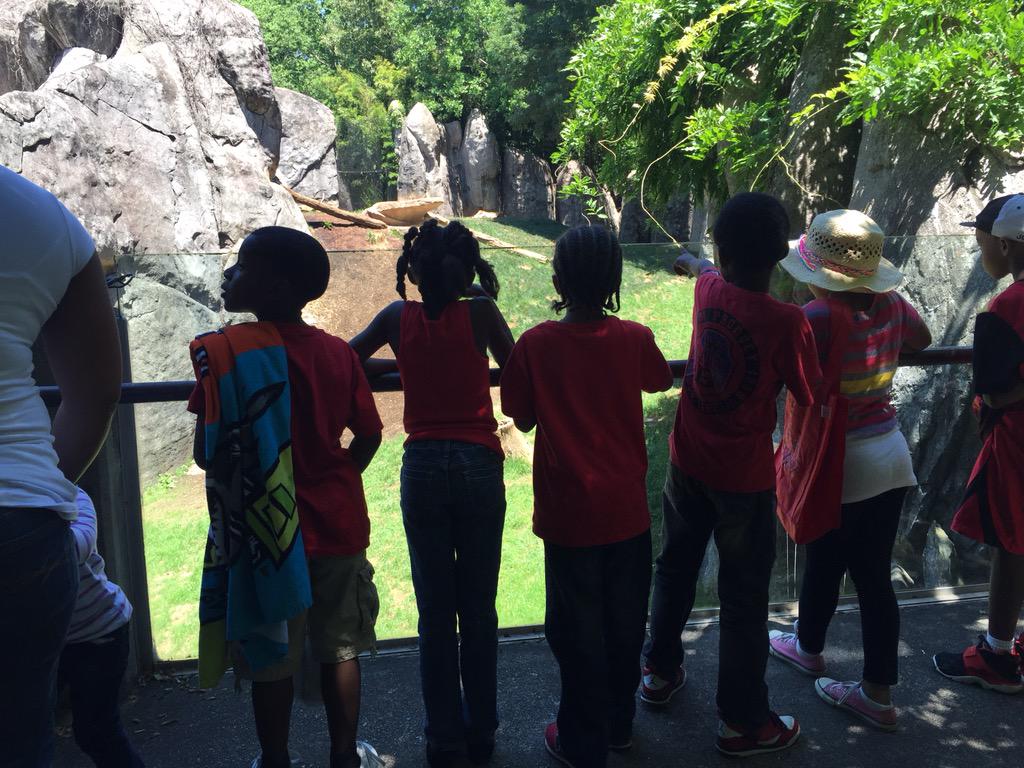 Jamilasgt's tweet photo. We're having a blast at the zoo!!! http://t.co/CxhvTxF4Ev