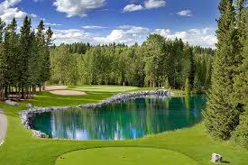 blackwolfgolf's tweet image. Excited to announce that Redwood Meadows Golf &amp;amp; CC to host the BlackWolf Singles "A" Side final!